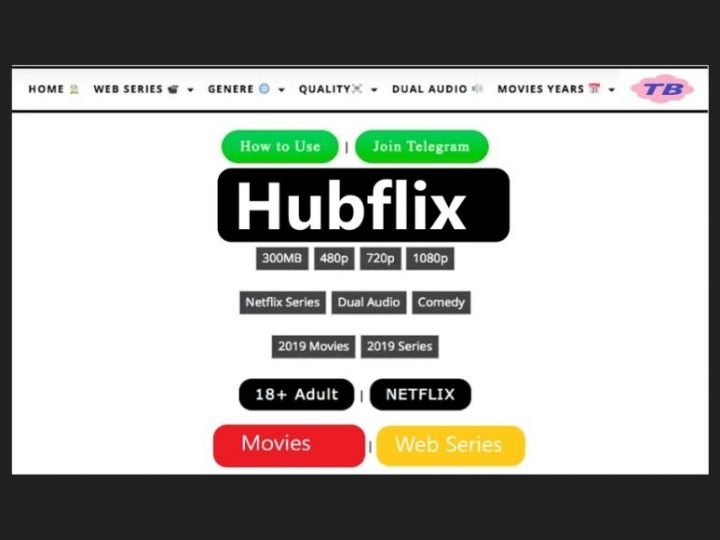 Hubflix AllMoviesHub Bollywood, Hollywood Dubbed Movies Download