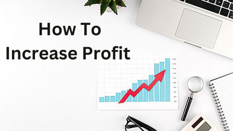 How To Increase Profit or Why It Is Essential To Look At Profit And Not Turnover