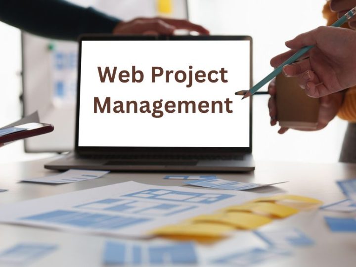 How We Work In Web Project Management