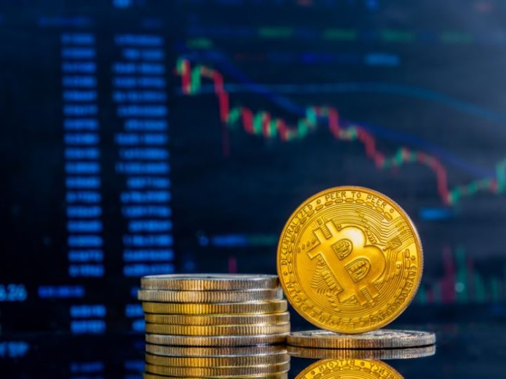 Unleash The Potential: How To Spot The Next Big Crypto Investment