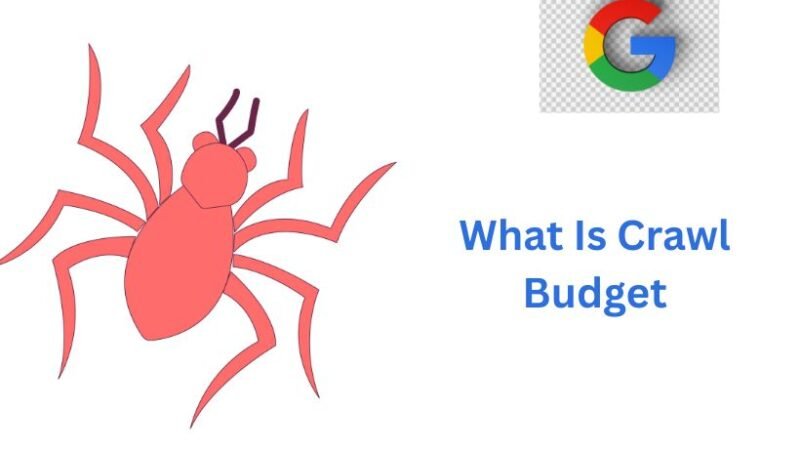 What Is Crawl Budget and Why Does It Matter in SEO