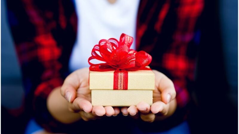 Best Gift for IT Guy India – 9 Practical Gifts Tech Professionals Love
